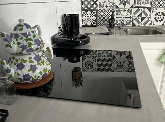 Paon Daire Kintzheim